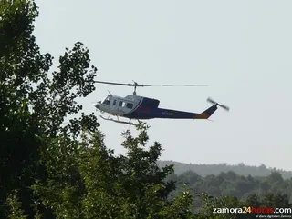 Nueve de cada diez incendios forestales declarados en Castilla y León no llegan a juicio
