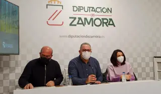 Presentación de Son de Raíz