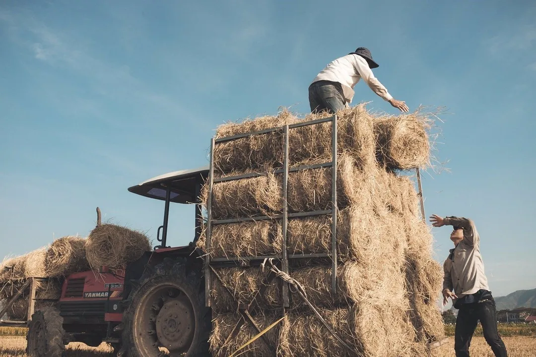 Agricultura
