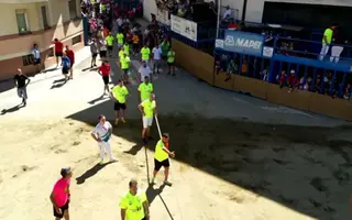 Toro Enmaromado de Benavente en el Congreso Nacional De Toros De Cuerda, Amposta