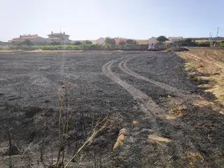 Incendio roales pan (1)