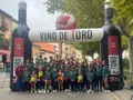 Vino Toro Caja Rural