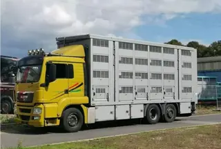 Transporte de ganado. Europa Press. Archivo