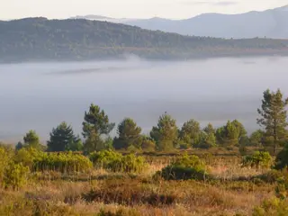 Zona de Tábara