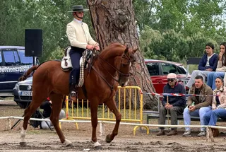 Diego Viñas Ramos en el concurso territorial de doma vaquera con Silencio