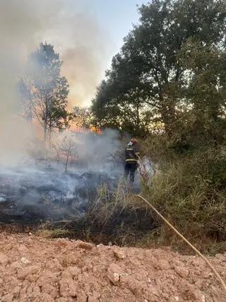 Un bombero sofocaba las llamas en el incendio de Aliste este pasado miércoles