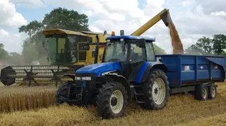 El Gobierno revisa con las comunidades el protocolo de actuación de la guía para prevenir brotes de COVID en el sector agrario