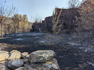 Las heridas del fuego en Losacio (21)