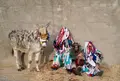 Los Cencerrones de Abejera-Eduardo Margareto ICAL