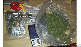 La mitad de los peatones muertos en 2012 había consumido alcohol o drogas