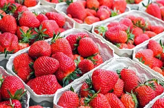 Fresas facua
