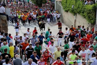 Toro Enmaromado 2019 Fotos: María Lorenzo