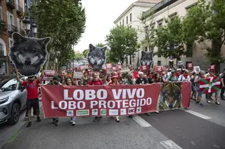 Manifestación en Madrid