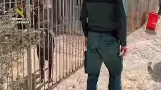 VID20200314WA0018