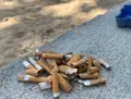 Imagen De Las Colillas Recogidas En Un Parque Infantil- Redes Sociales