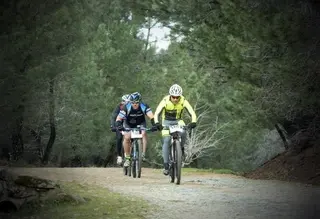 Participantes en una ruta BTT. Archivo