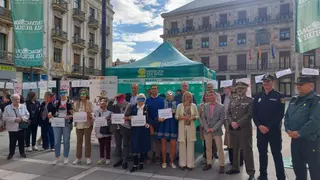 Azayca Plaza Constitución