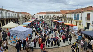 Feria de Todos los Santos de Fuentesaúco. Cedida