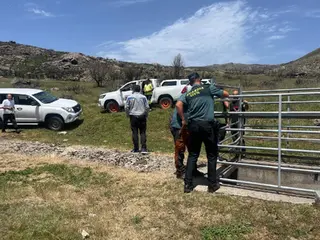 Rescate de un toro de grandes dimensiones en Alta Sanabria tras caer a un canal