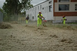 Trabajadores en el Plan de Empleo Forestal de la Diputación