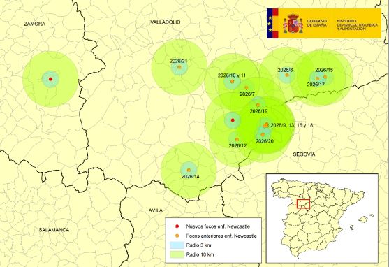 Localizaci&oacute;n de los focos de enfermedad de Newcastle en las provincias de Valladolid y Zamora a 13 de julio | Ministerio de Agricultura, Ganader&iacute;a y Pesca