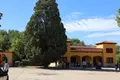 Monte la Reina 