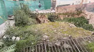 Estado de la trasera del Ayuntamiento. FOTO PP
