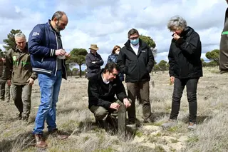 Suárez Quiñones visita las labores de reforestación de un pinar
