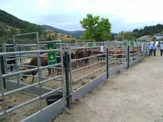 Feria de Porto de Sanabria. Archivo