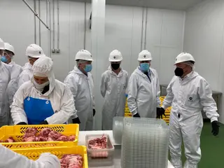Visita a la empresa de Moralejo Selección