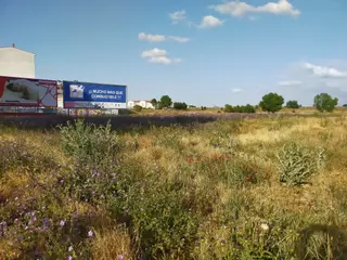Un solar en Zamora. Archivo.