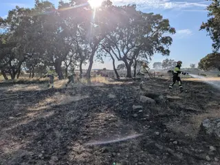 Imagen de los bomberos del Consorcio Provincial junto a Agentes Medioambientales
