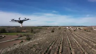 Iberdrola reforestará pueblos comprometidos con la sostenibilidad