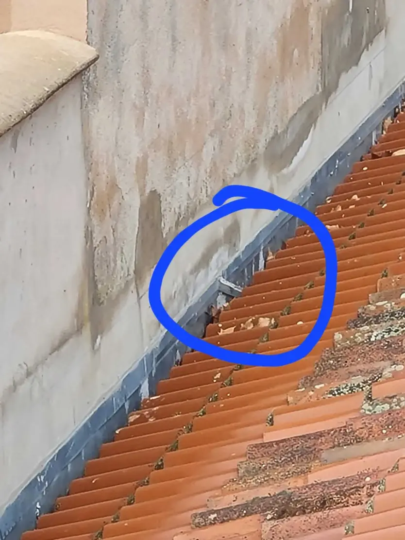 Deficiencias en la asociación de vecinos de Los Bloques 2