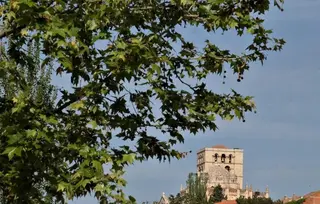 Tiempo meteo zamora despejado cielo catedral verano nubes