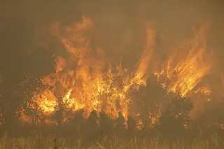 Efectivos de bomberos durante el incendio de la Sierra de la Culebra, a 18 de junio de 2022