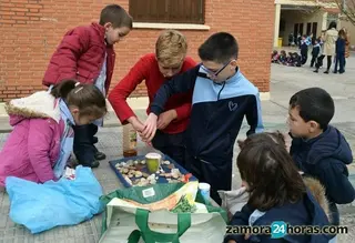 La ciencia, explicada por niños y para niños