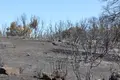 El campo en la zona calcinada por el incendio de Fermoselle