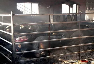 La Diputación agiliza los trámites para dar "cuanto antes" la ayuda de 150.000 euros a los afectados por el incendio