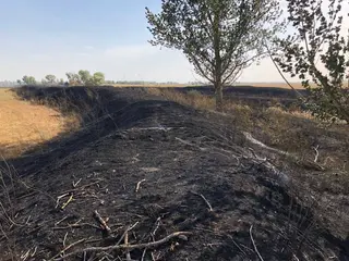Incendio extinguido en la provincia de Zamora. Archivo.