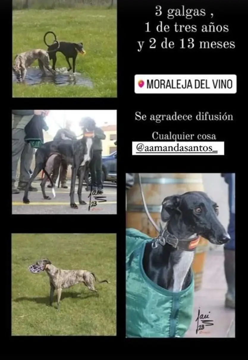 Historia de Instagram en la que se denuncia el robo.
