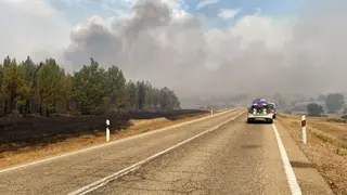 Imagen del incendio de Losacio. Foto David Barrueco