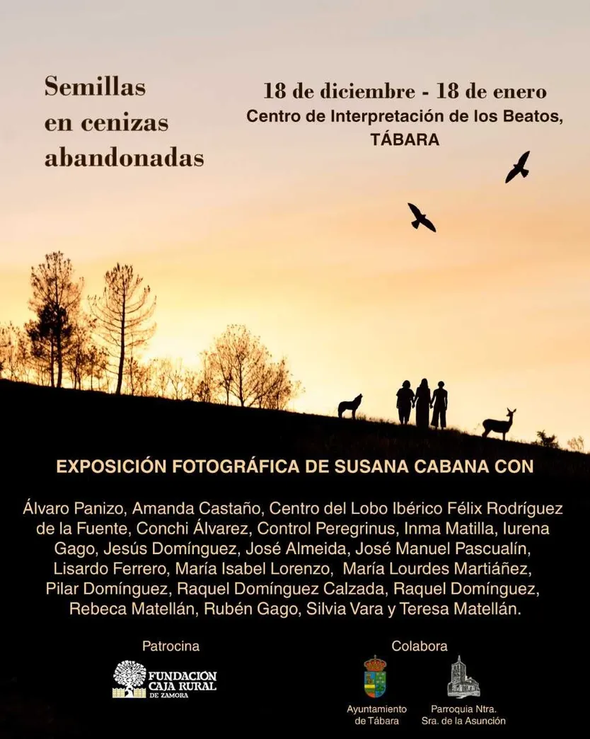 Cartel de la exposición