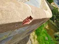 Daños en la piedra del Puente de Piedra de Zamora