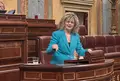 Elvira Velasco durante el pleno de este jueves en el Congreso