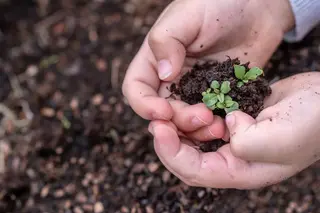 Un niño coge un puñado de tierra