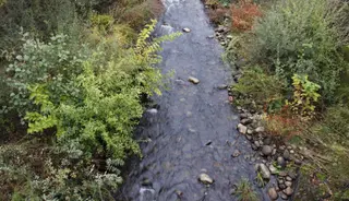 Cauce de un río