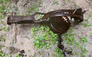 El cepo ilegal encontrado en los montes de Sanabria. CrioSanabria