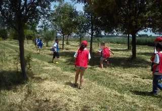 Campamento urbano