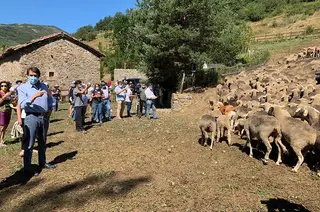 Trashumancia